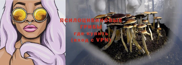спайс Абинск