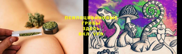 крисы Абдулино