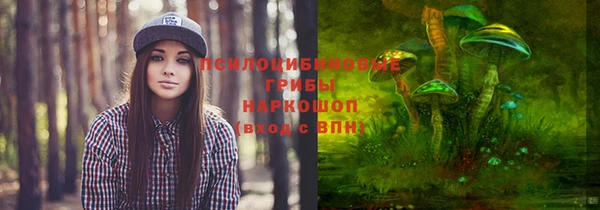 спайс Абинск