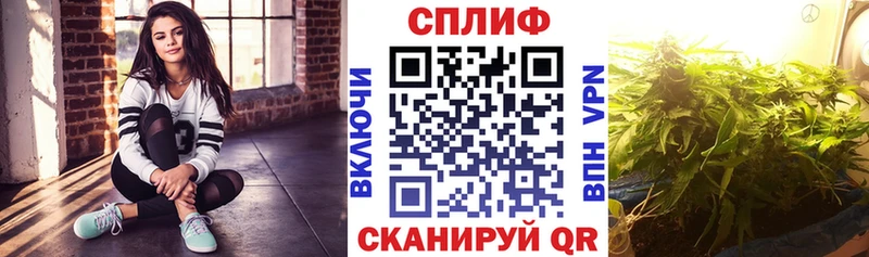 Каннабис сатива  Кинель 